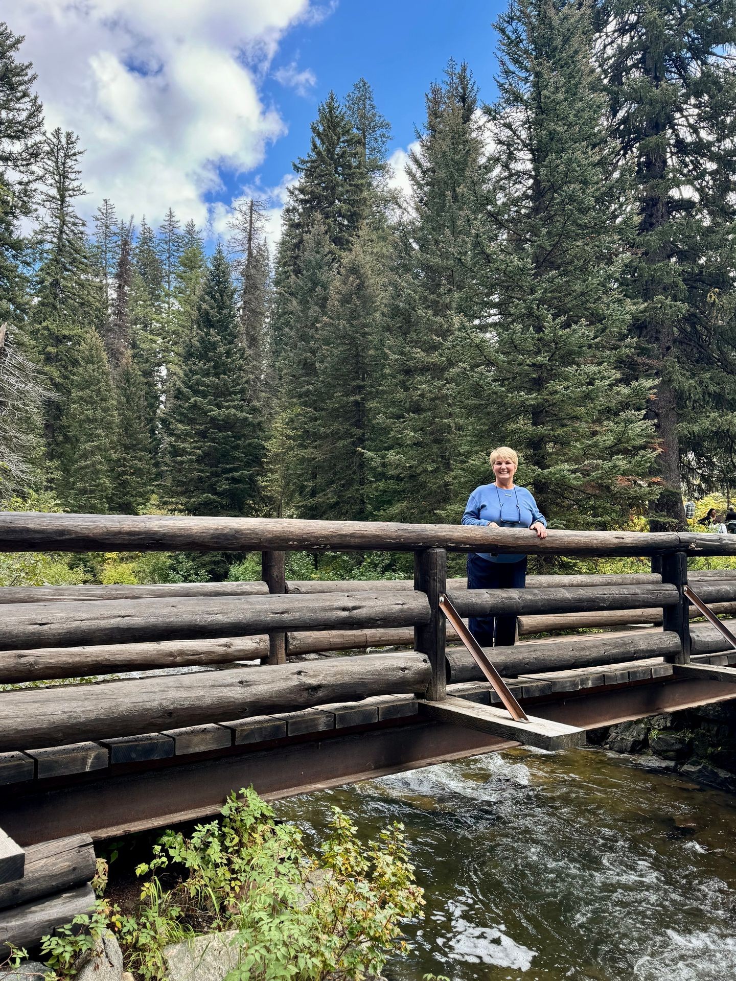 Dr. Robinette stands on a bridge in a wooded space. Dr. Robinette stands on a bridge in a wooded space.