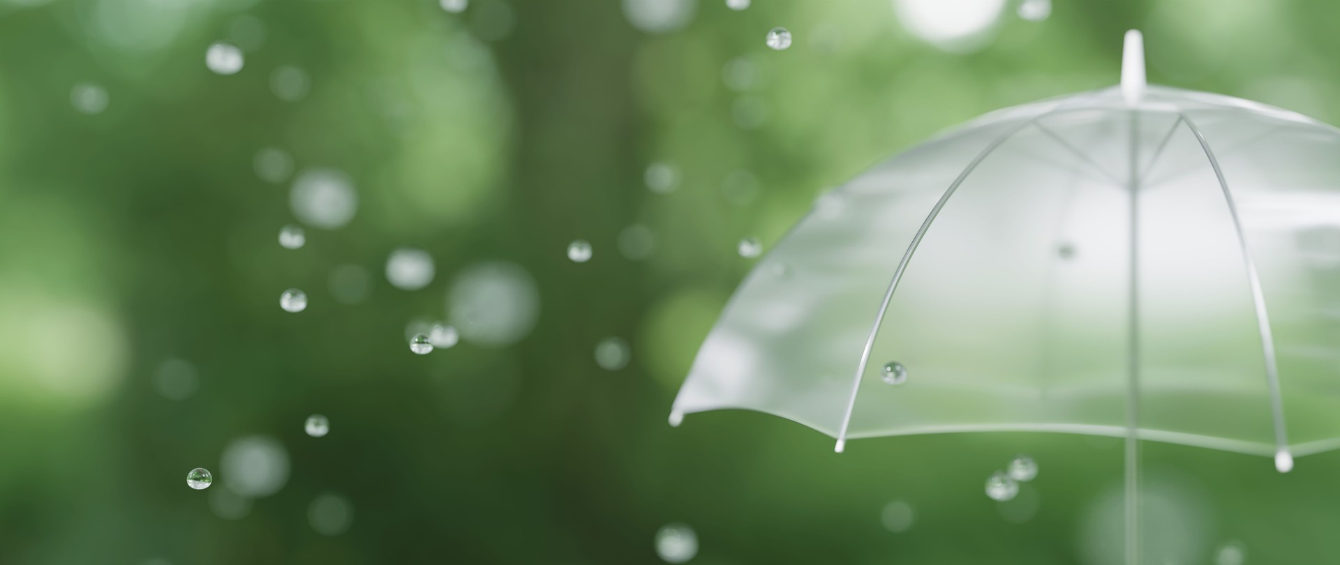 3D Illustration.Transparent umbrellas on a background of trees and leaves. Image of rain. Image of rainy season, rain. 3D Illustration.Transparent umbrellas on a background of trees and leaves. Image of rain. Image of rainy season, rain.