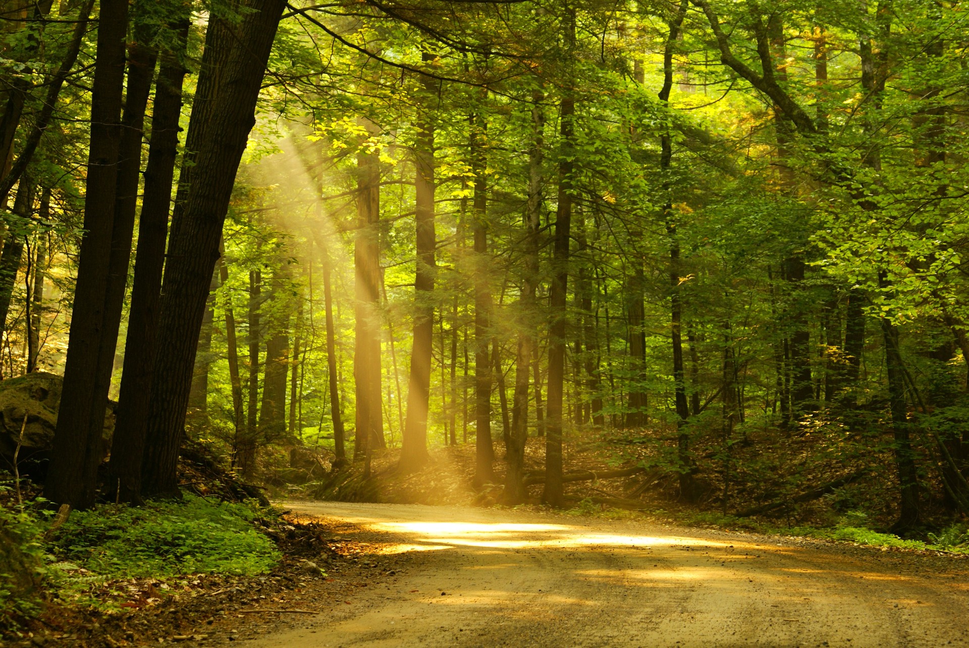 Morning light Morning light